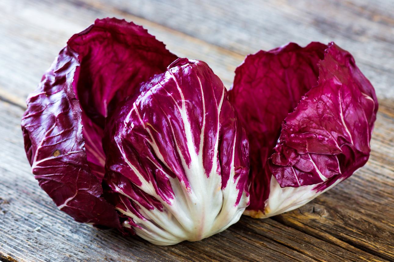 Radicchio Chioggia - 500 Gr - Gala Express