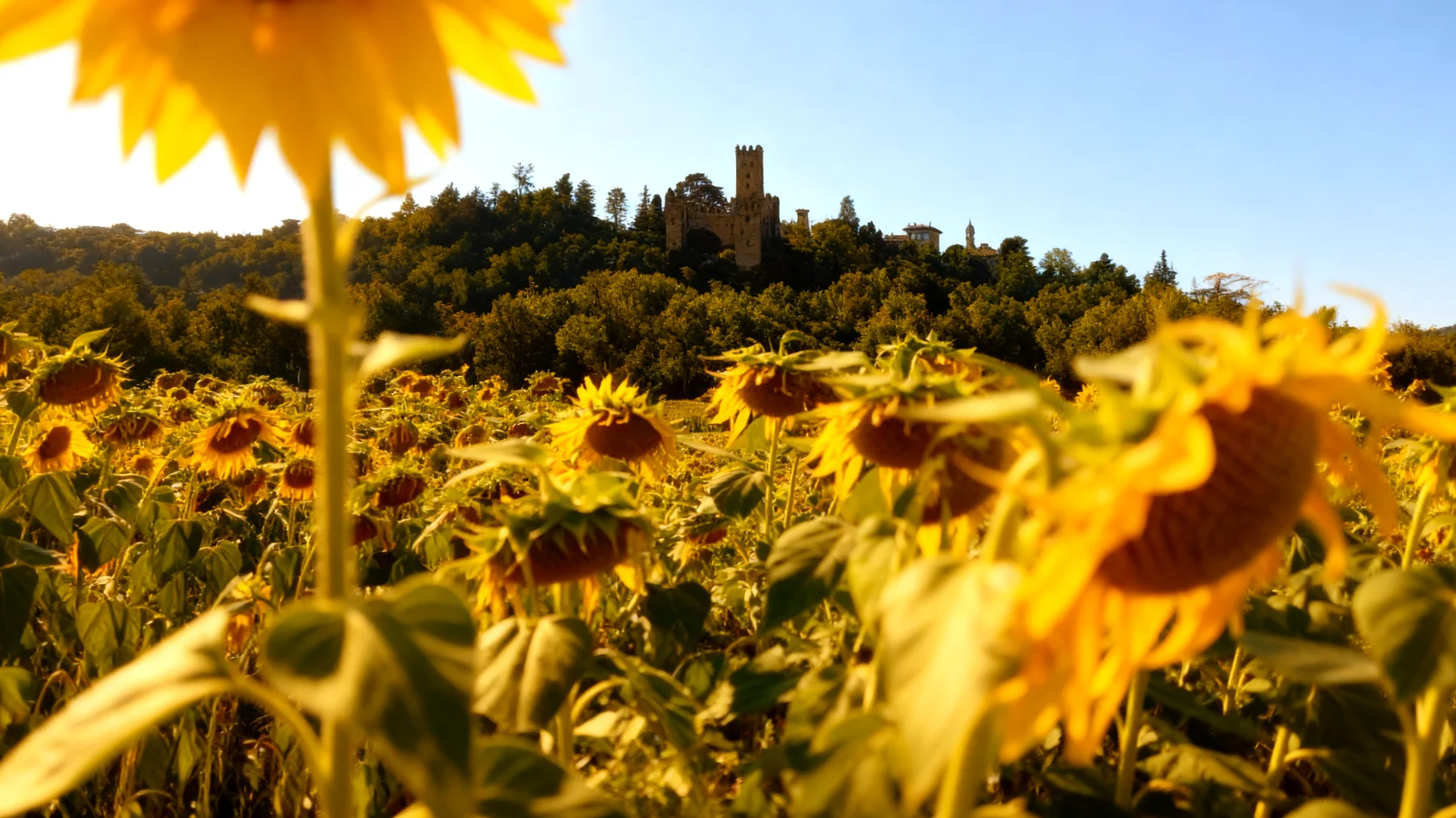 La forza di una donna2026-01-30T14:32:44.987Z"